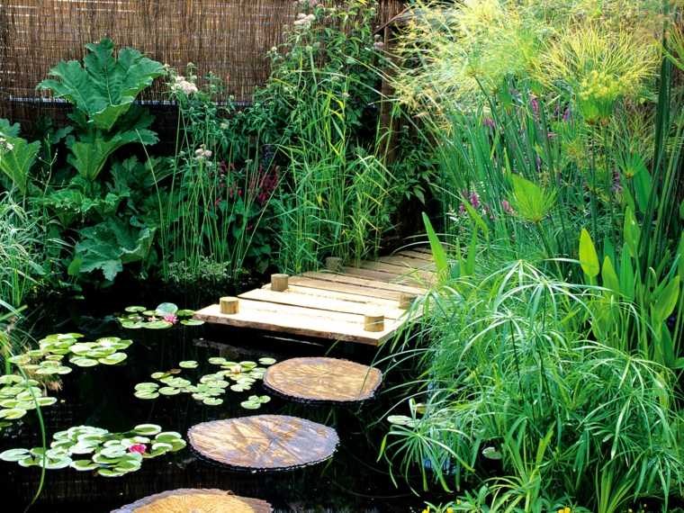 bassins de jardin plantes aquatiques