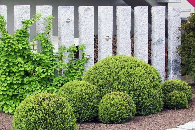 clôtures de jardin pierre brise vue