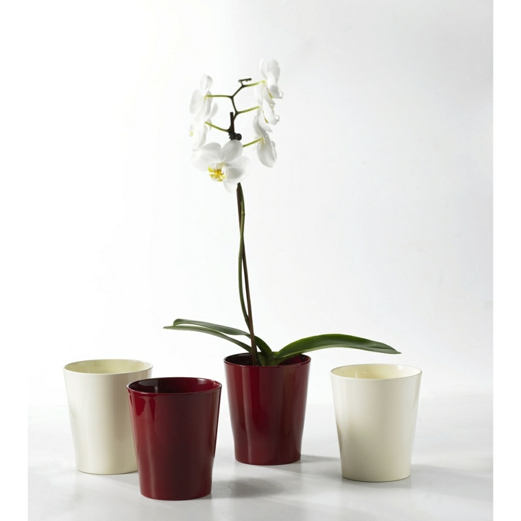 cache pot blanc rouge design orchidé 