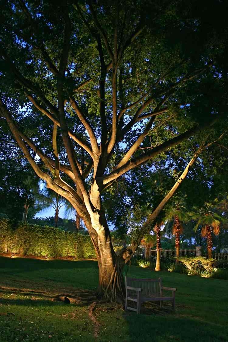 eclairage jardin illumination arbre