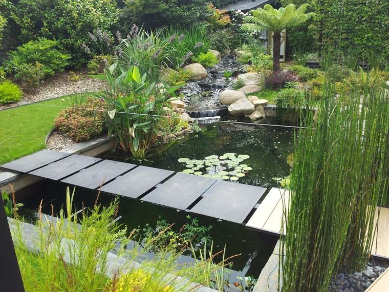 jardin contemporain bassin plantes aquatiques