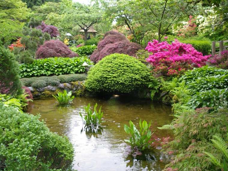 jardin japonais vue petit bassin