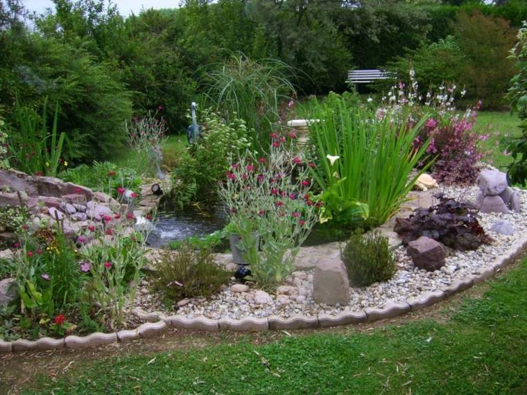 jardin petit bassin aquatique