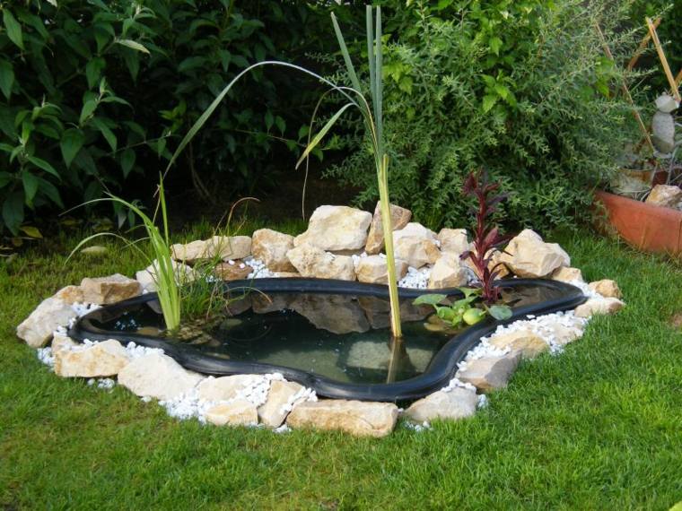 mini bassin jardin