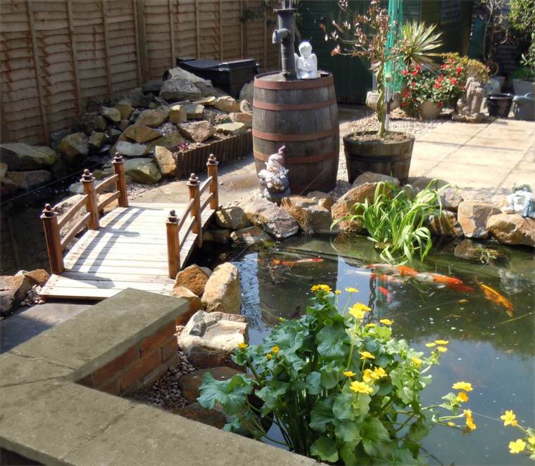 petit bassin jardin poissons