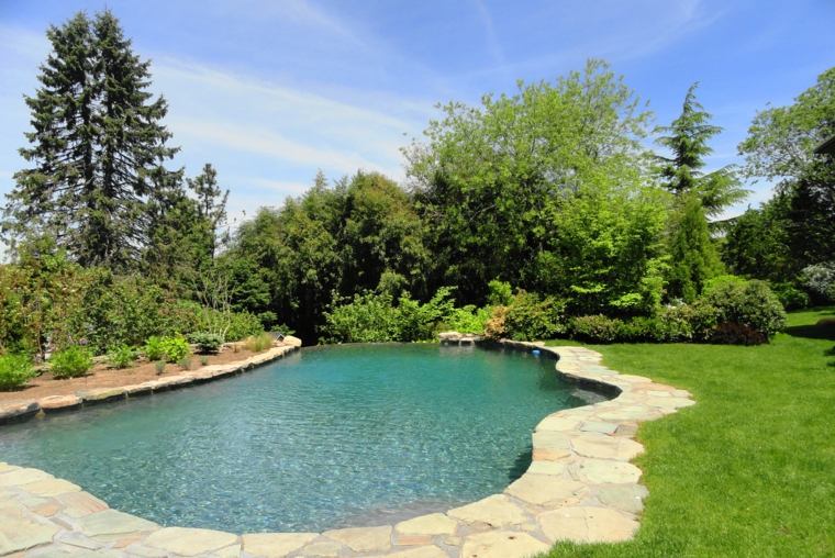 revêtement pierre piscine jardin 