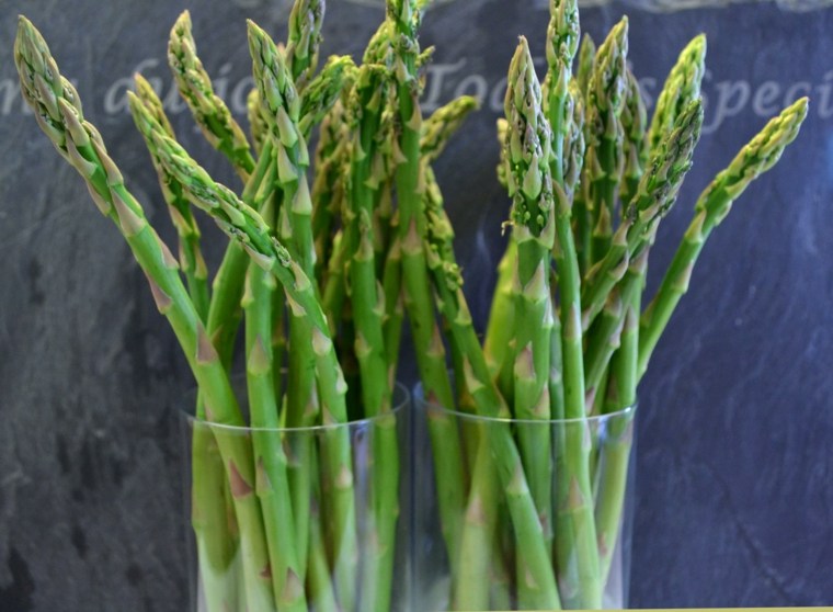 plante verte intérieur asparagus