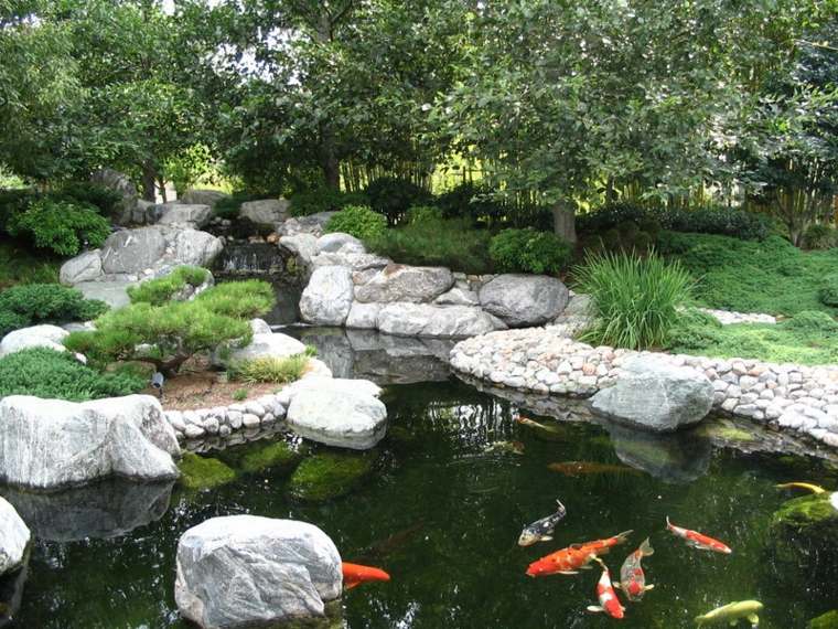 zoom poissons or bassin jardin original