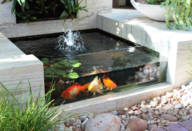 bassin avec poissons extérieur idées