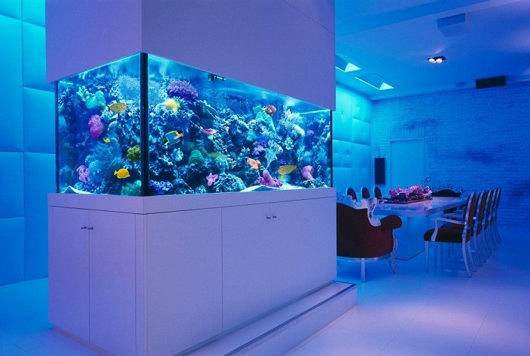 salle manger grand mobilier design aquarium 