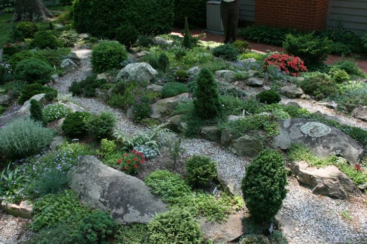 jardin de rocaille plantes vertes