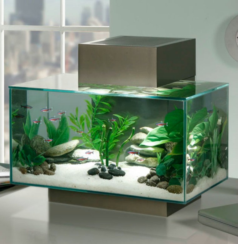 aquarium design meuble déco