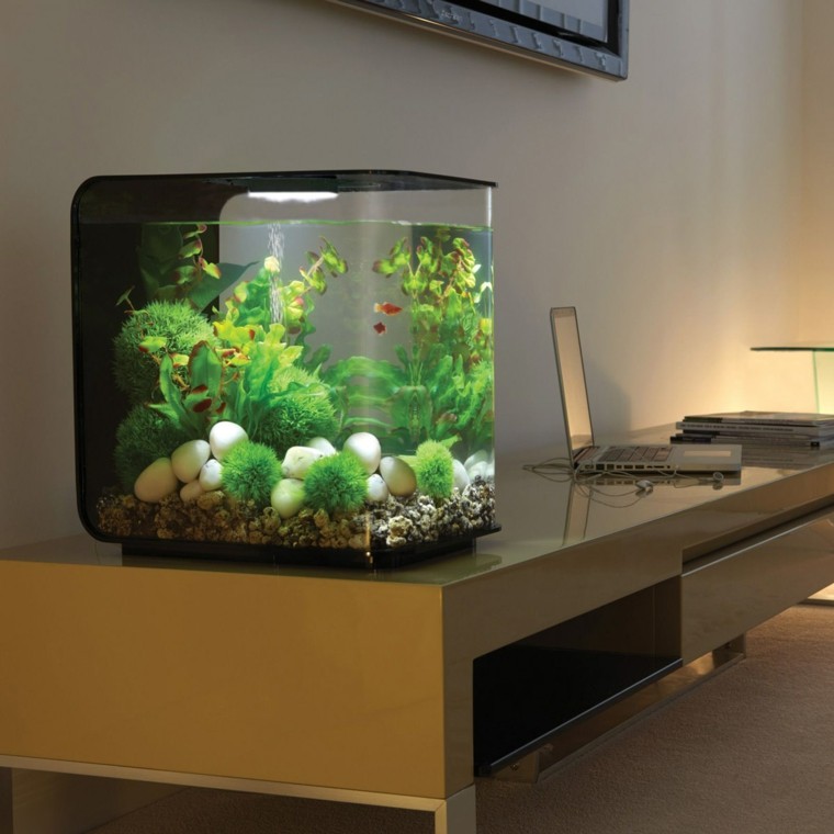 petit aquarium meuble bureau