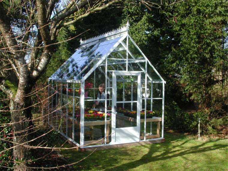 petite serre de jardin moderne verre