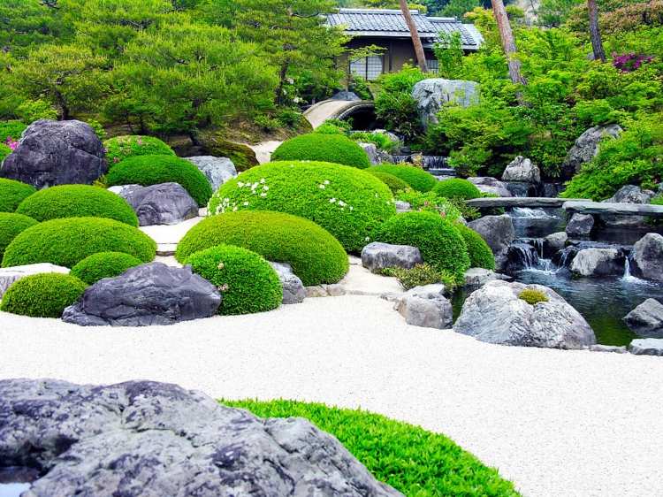 rocaille jardin design japonais