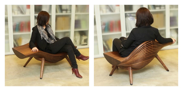chaise et fauteuil idées deco de salon design