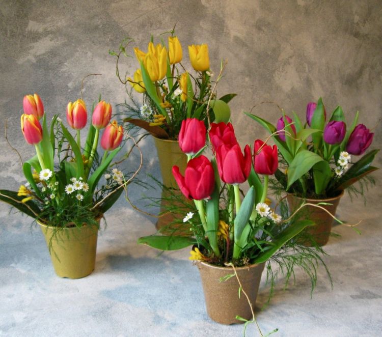 compositions florales tulipes idee