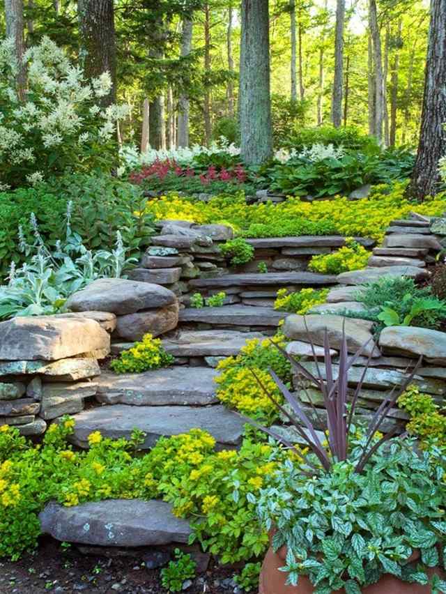 comment aménager son jardin idée escalier pierre jardin plante déco