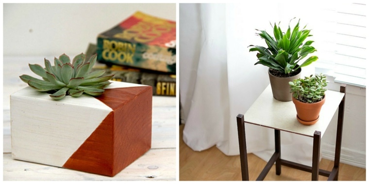 appart plante intérieur idée plantes et jardin pot de fleurs bois céramique design