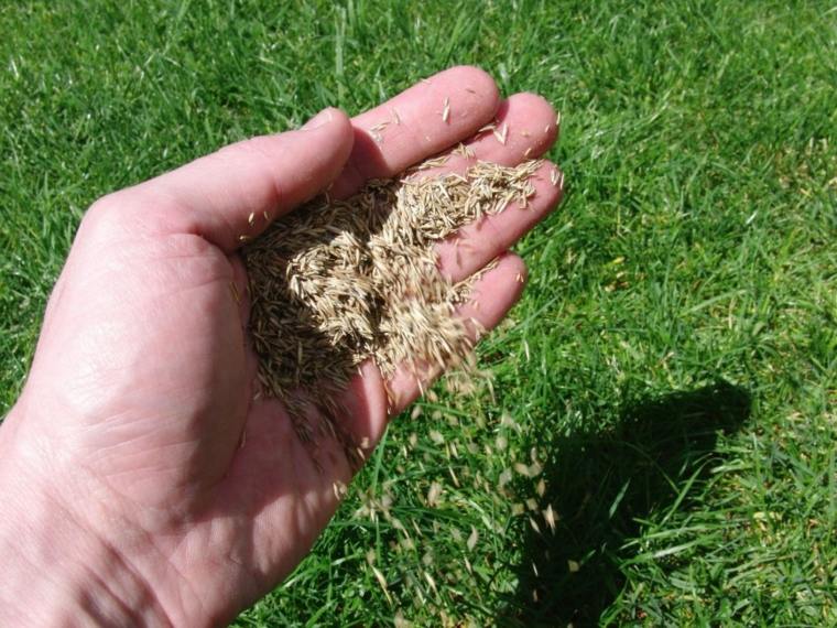 semer pelouse artificielle conseil entretien