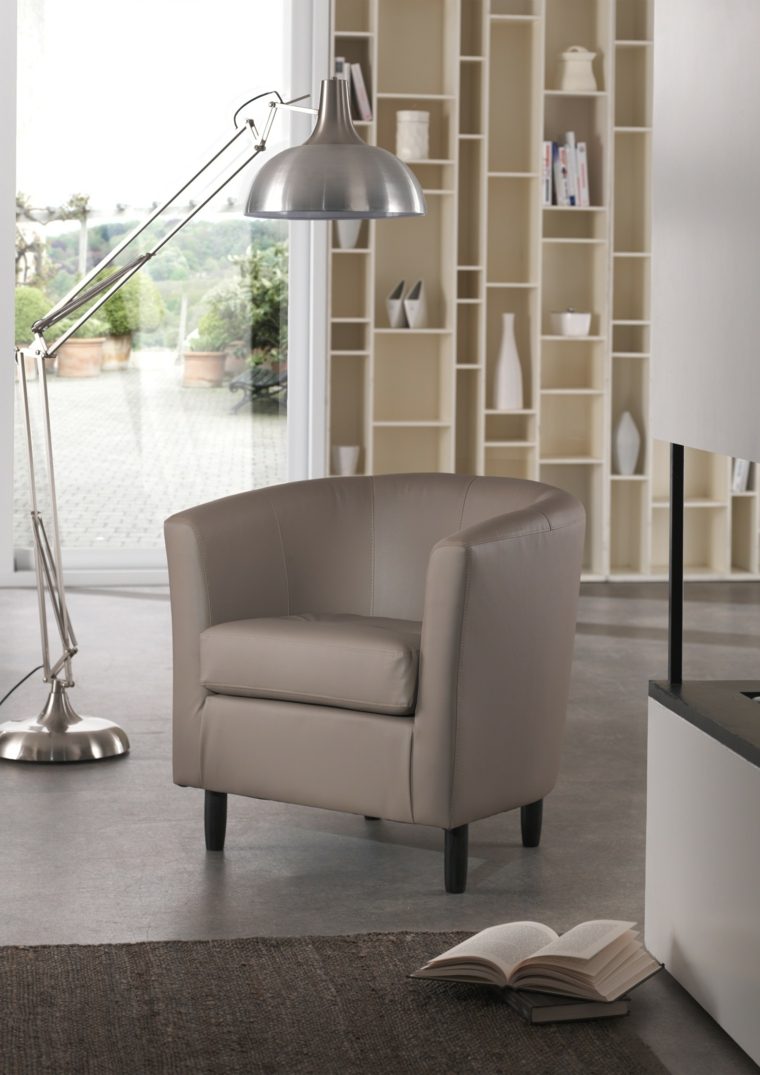 salon meuble idée fauteuil gris beige lampe tapis de salon
