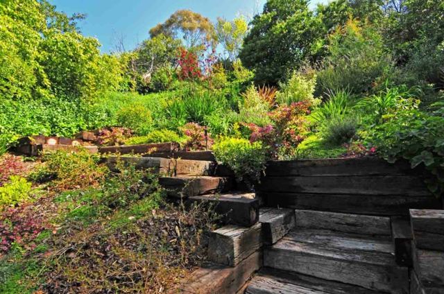 idée jardin aménagement escalier bois 