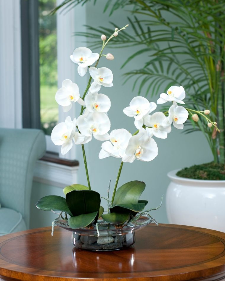 orchidées idees decoration art floral