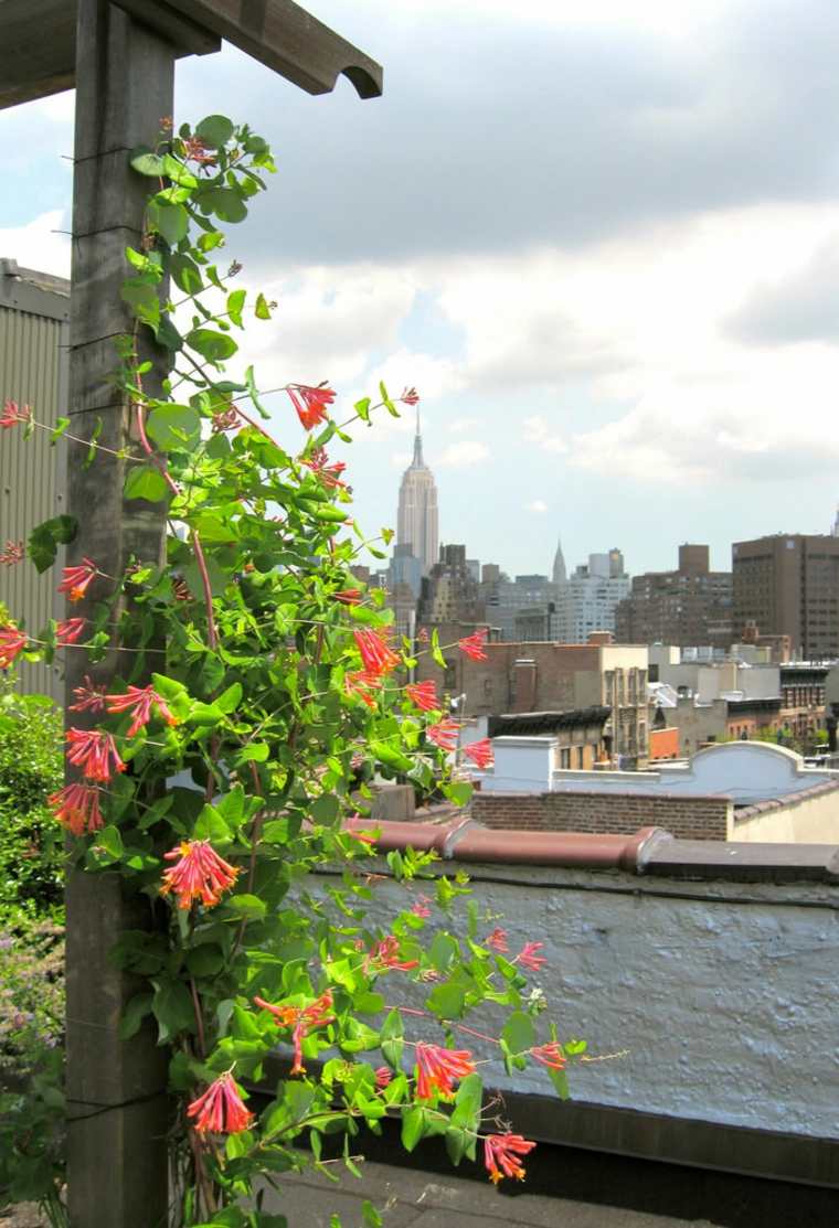 terrasses toit dee jardin deco plantes pergolas