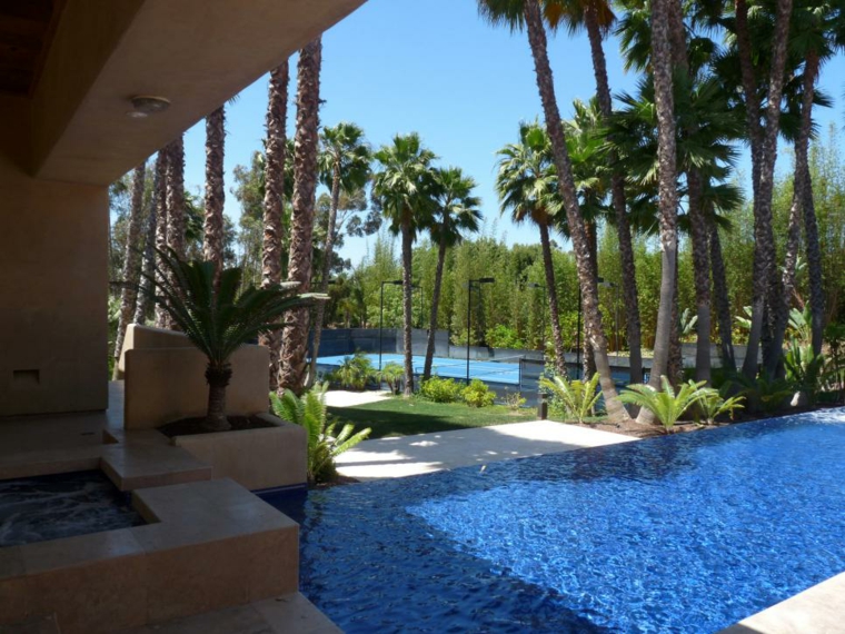 amenagement jardins modernes design piscine palmes
