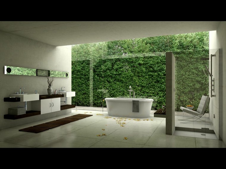décoration toilettes idée intérieur moderne zen baignoire