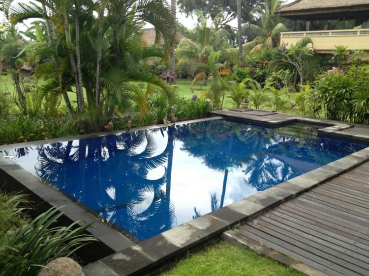 terrasse piscine plantes exotiques