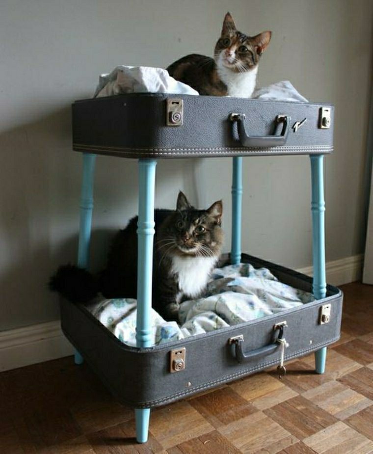 valise vintage recyclage idée récup panier chat pas cher 