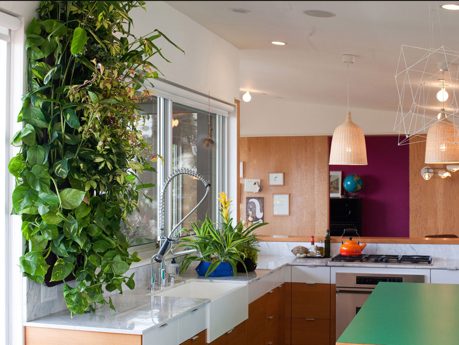jardin vertical intérieur cusiine idée plante luminaire suspension