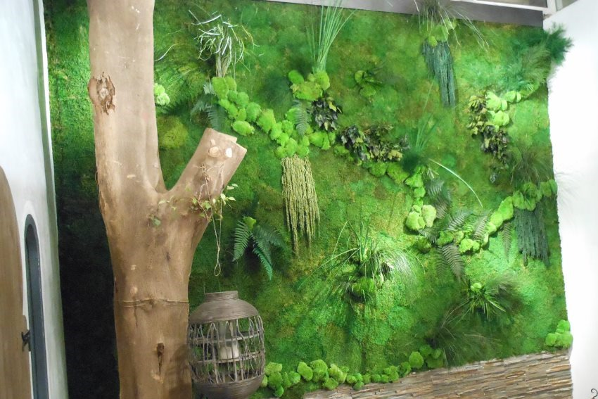 mur végétal intérieur idée aménagement plante 
