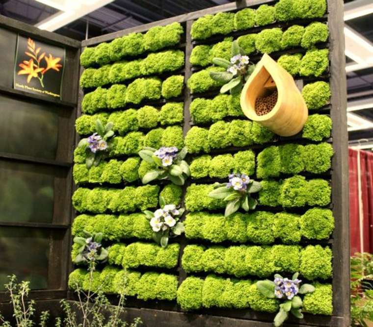 mur végétal mousse idée fleurs plante grasse 