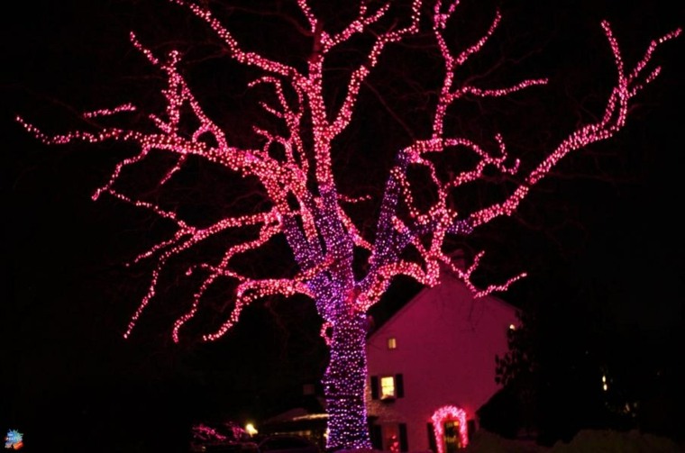 décoration extérieure arbre idée guirlande lumineuse 