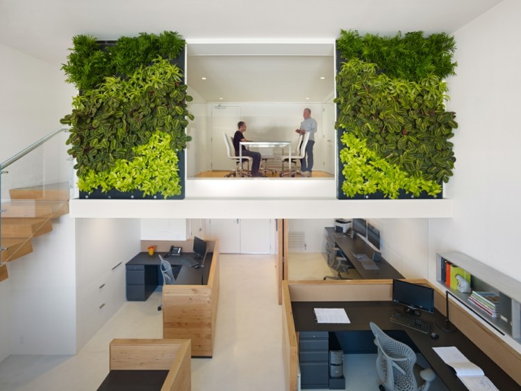 mur végétal intéreiur deco espace travail