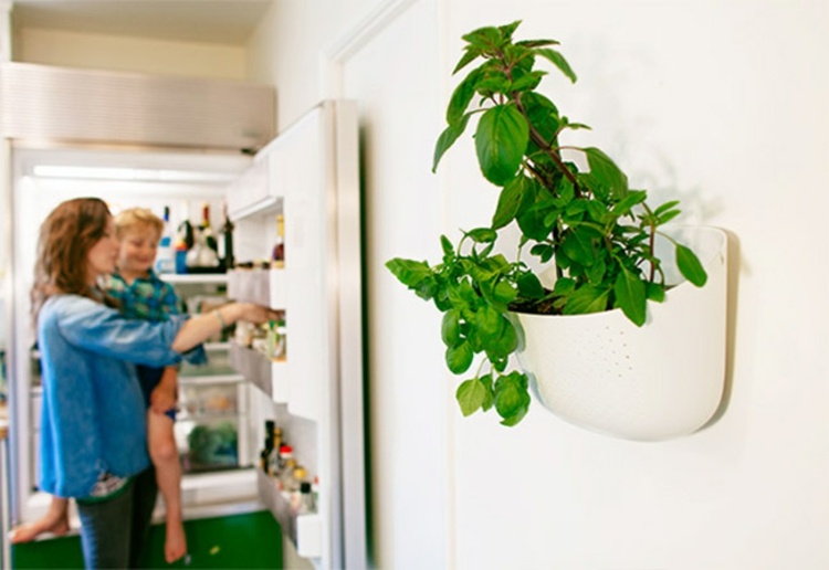 mur végétal intérieur pot plante