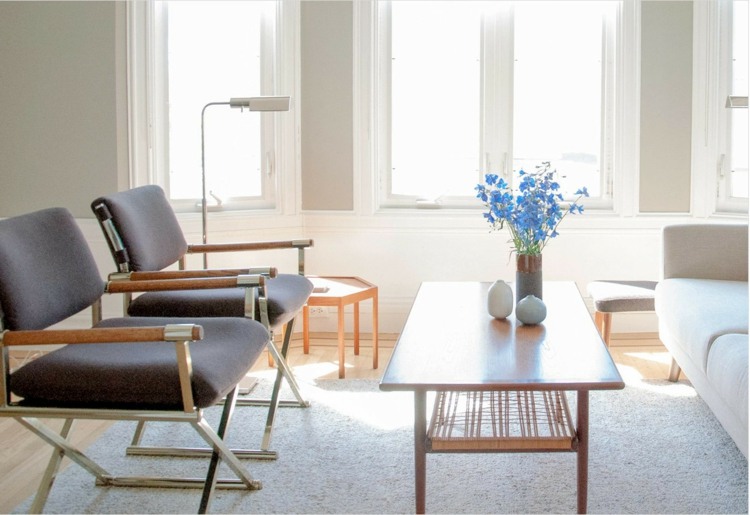 salon scandinaves meubles modernes bois