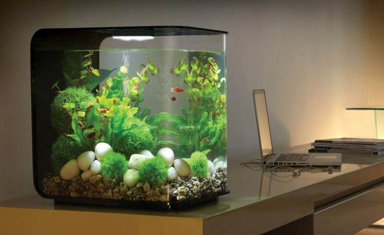décor aquarium pierre accessoire poissons idées 