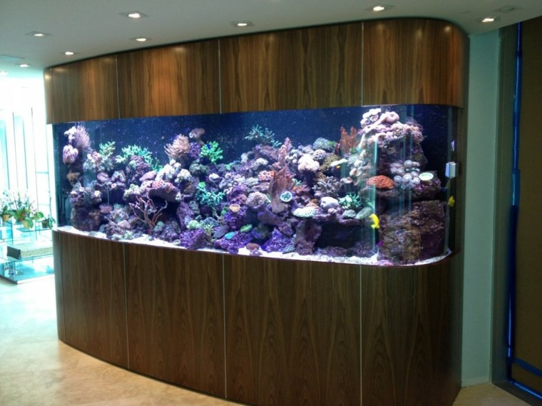 grand aquarium intégré au mur 