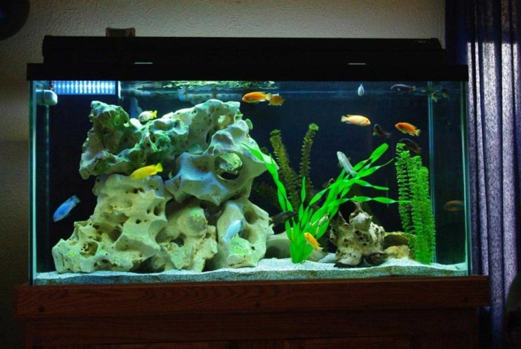 déco aquarium plante pierre accessoire pas cher poissons