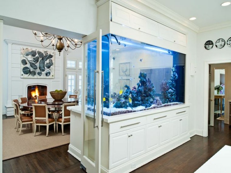 décor aquarium bleue idée plante pierre intérieur salon 
