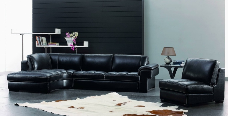 salon noir cuir design tapis de sol mur noir fauteuil noir cuir