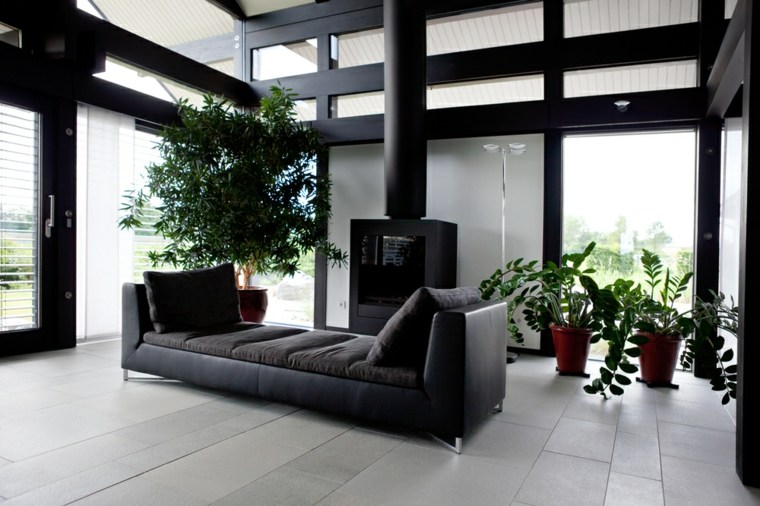 salon moderne intérieur design canapé noir coussins décoration plantes 