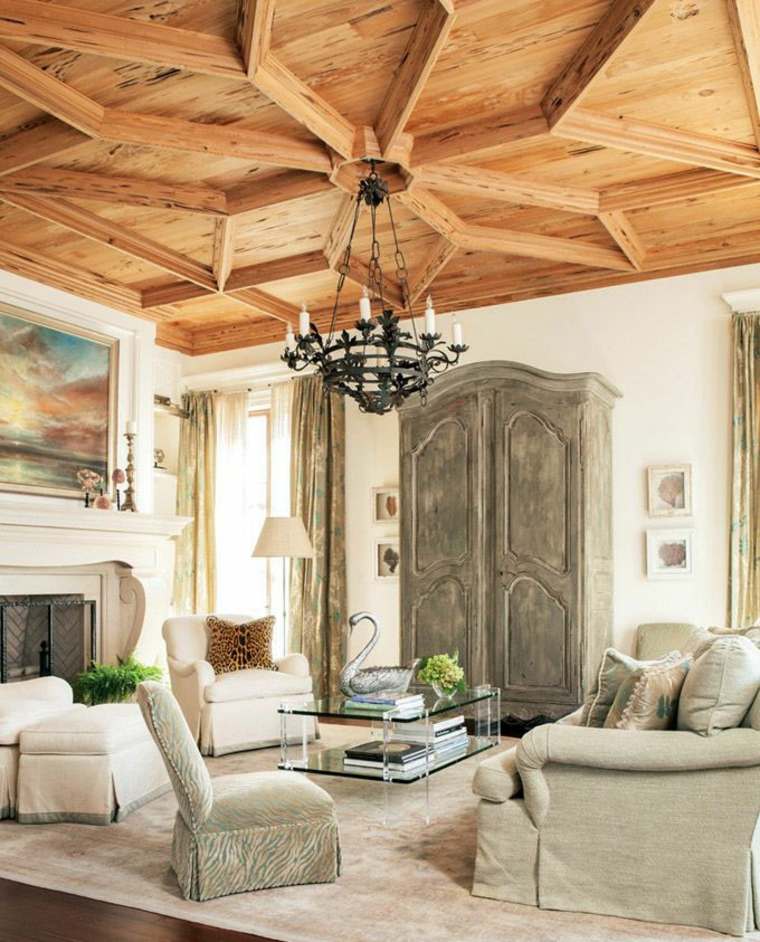 salon intérieur style rustique design faux plafond bois