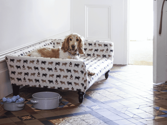 lit chien elegant moderne