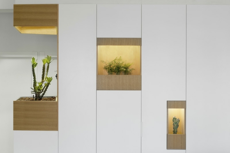 mur design moderne plantes