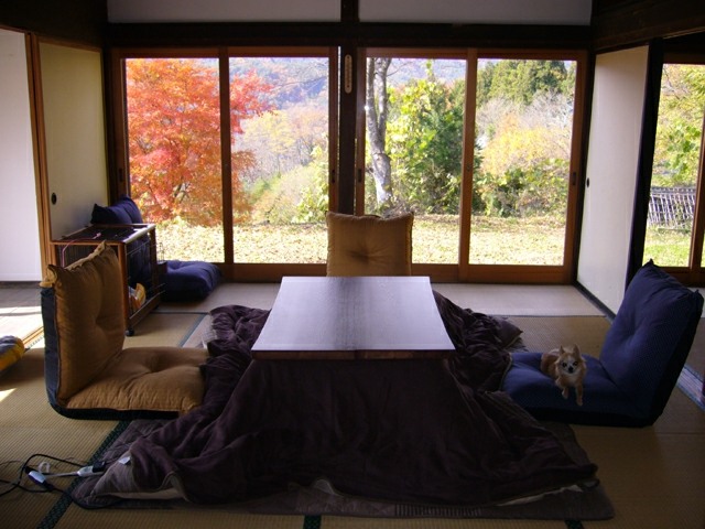 modèle éclectrique tatamis futon japonais matelas 