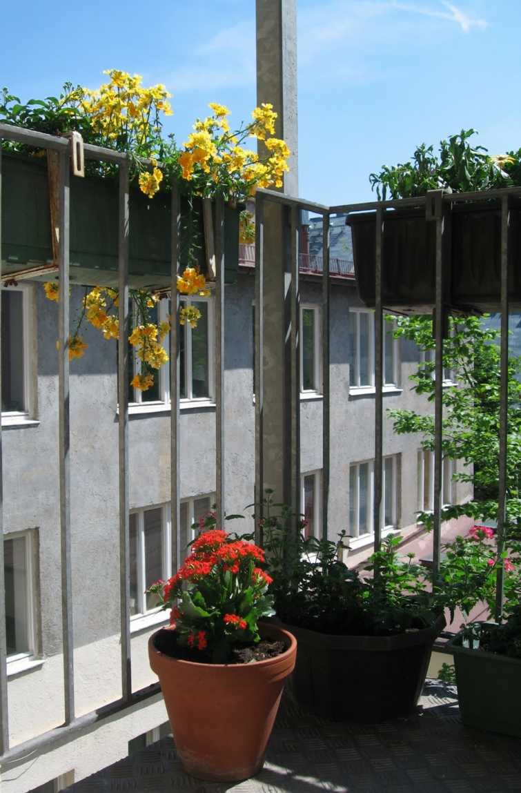 amenagement petit balcon fleurs